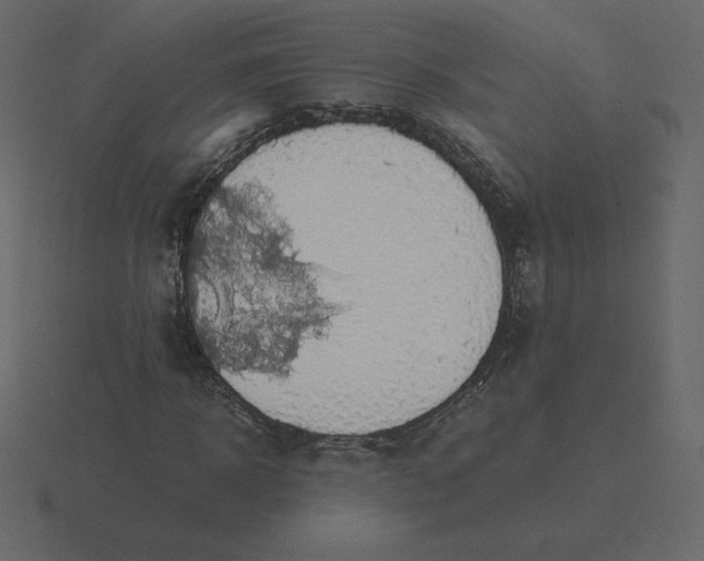 X0000116580918200912241651