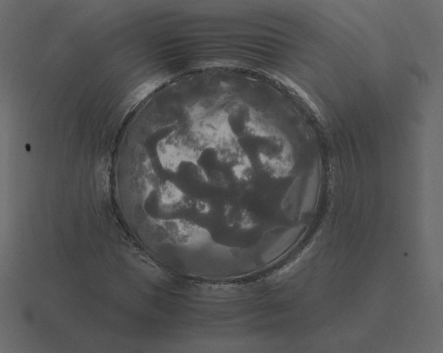 X0000116580921200912241651