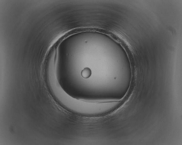 X0000116580925200912241651