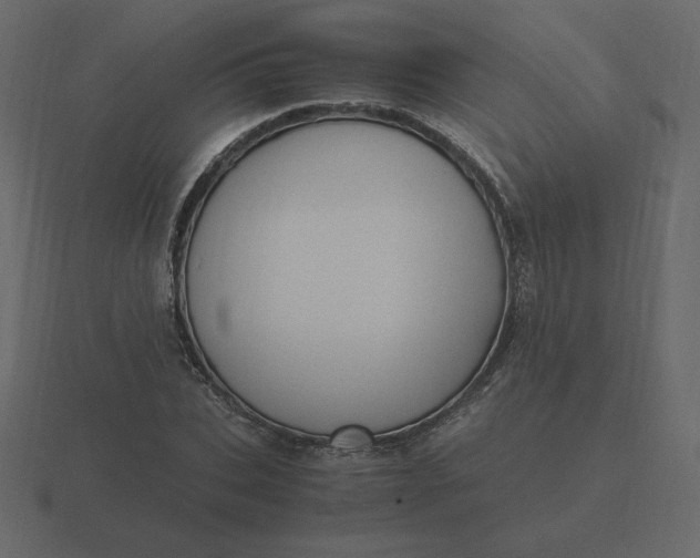 X0000116580927200912241651