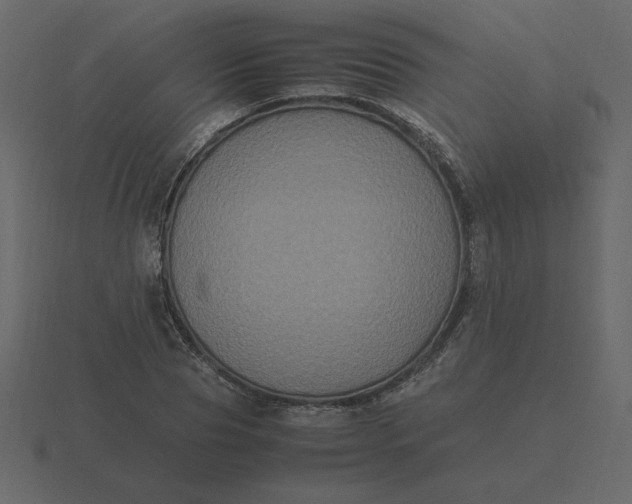 X0000116580929200912241651