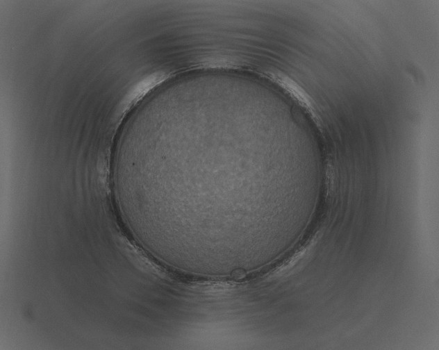 X0000116580930200912241651