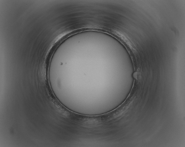 X0000116580931200912241651