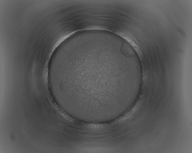 X0000116580933200912241651