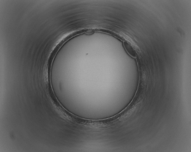 X0000116580934200912241651