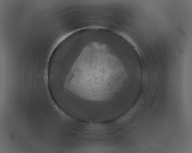 X0000116580935200912241651