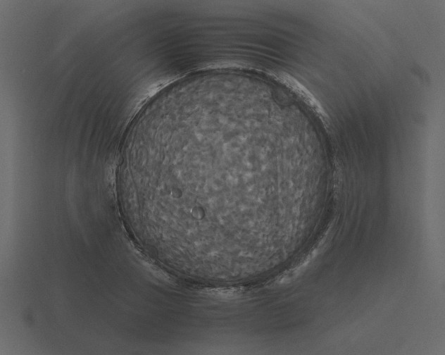 X0000116580937200912241651