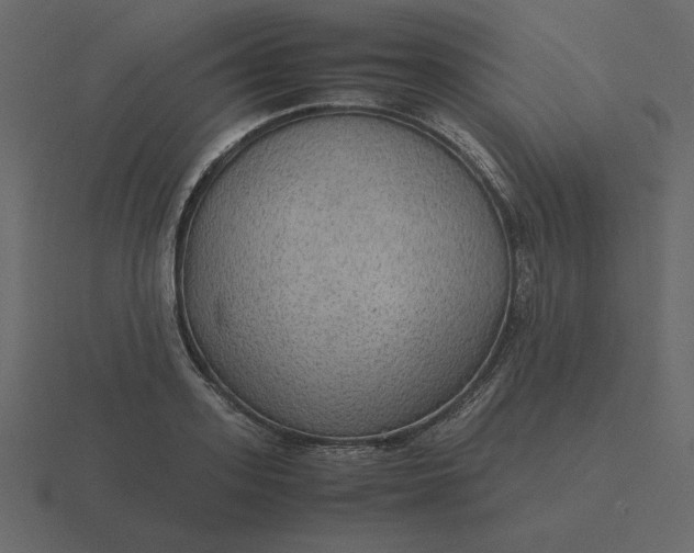 X0000116580939200912241651