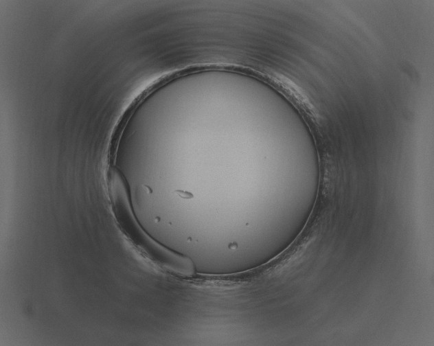 X0000116580942200912241651