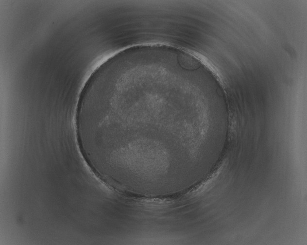 X0000116580943200912241651