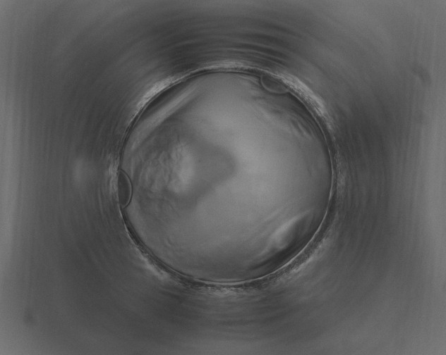 X0000116580945200912241651