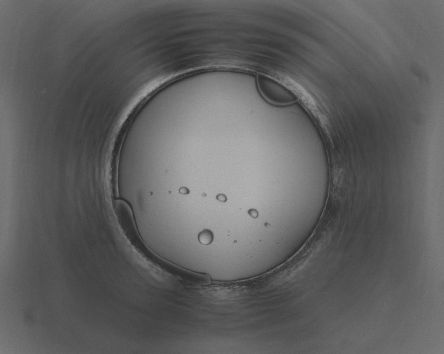 X0000116580947200912241651