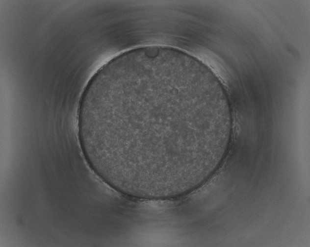 X0000116580950200912241651