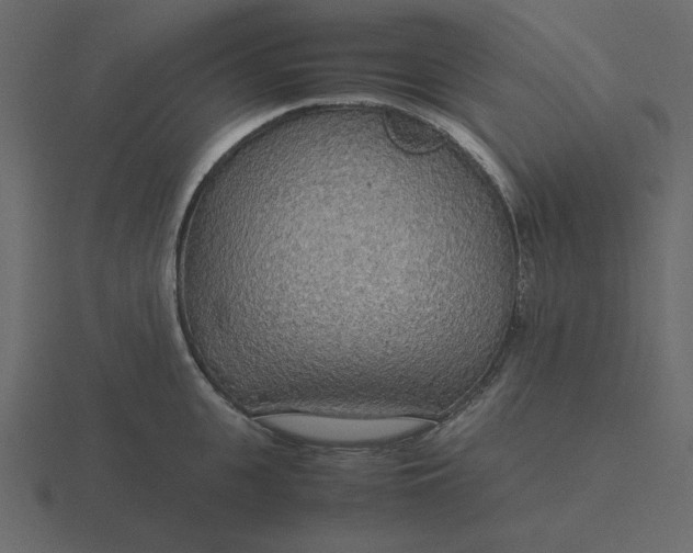 X0000116580951200912241651