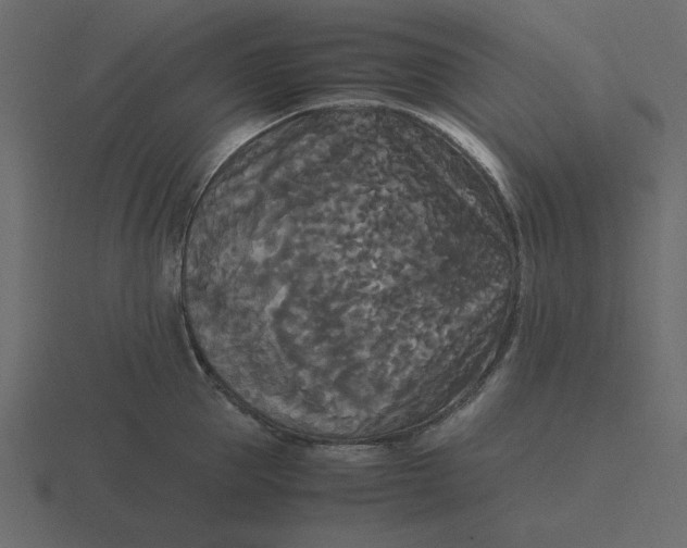 X0000116580953200912241651