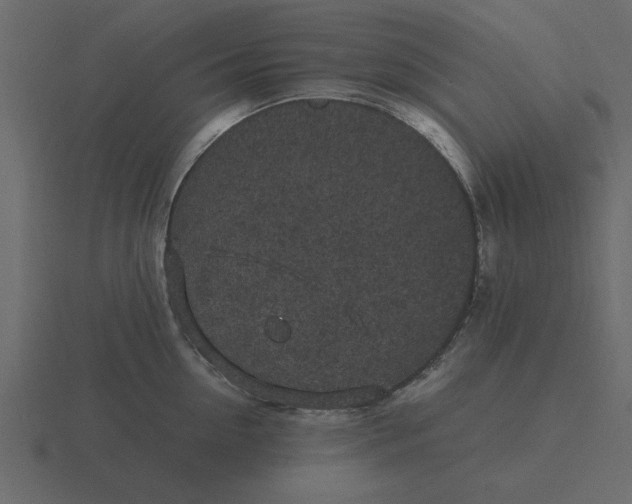 X0000116580954200912241651