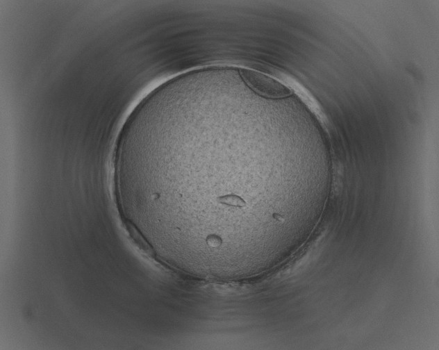 X0000116580955200912241651