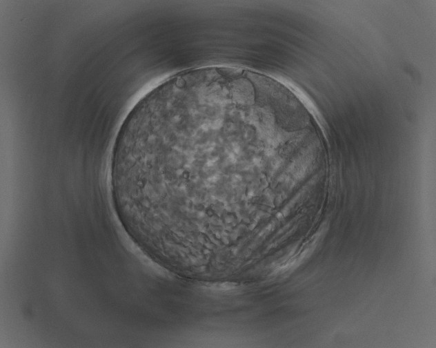 X0000116580957200912241651