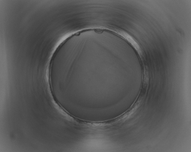 X0000116580958200912241651