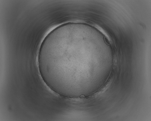 X0000116580959200912241651