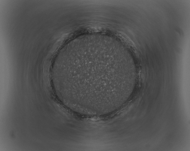 X0000116580961200912241651