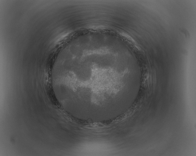 X0000116580966200912241651