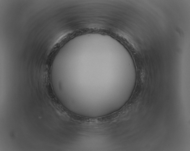 X0000116580968200912241651