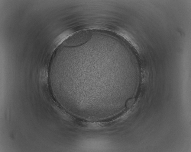 X0000116580969200912241651