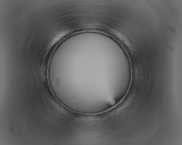 X0000116580970200912241651