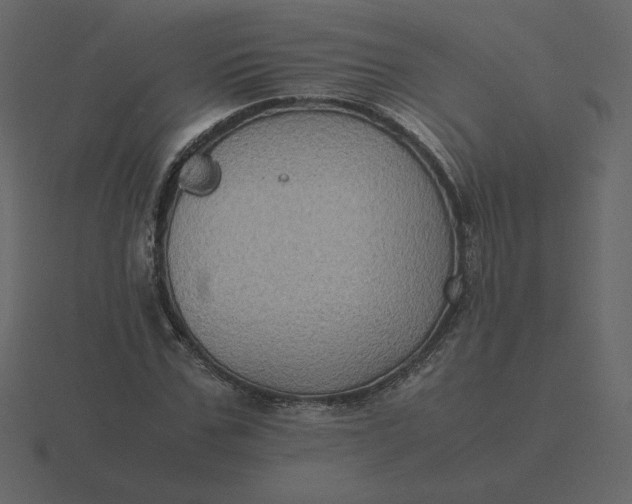 X0000116580971200912241651