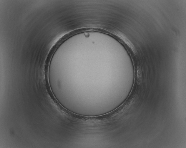 X0000116580972200912241651