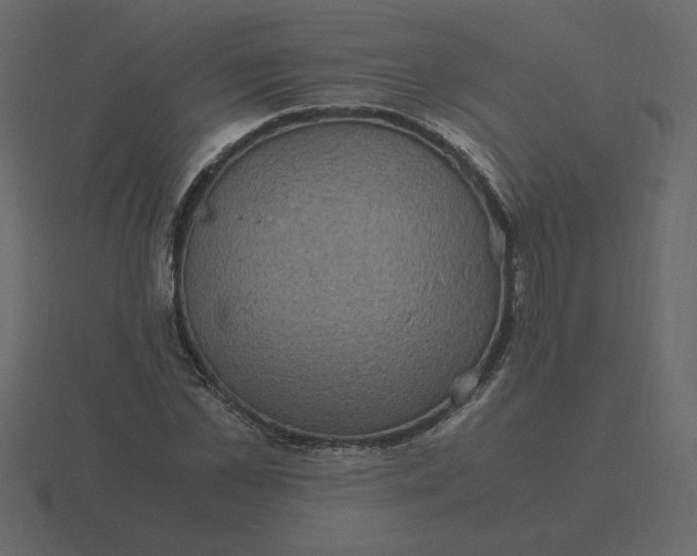 X0000116580973200912241651