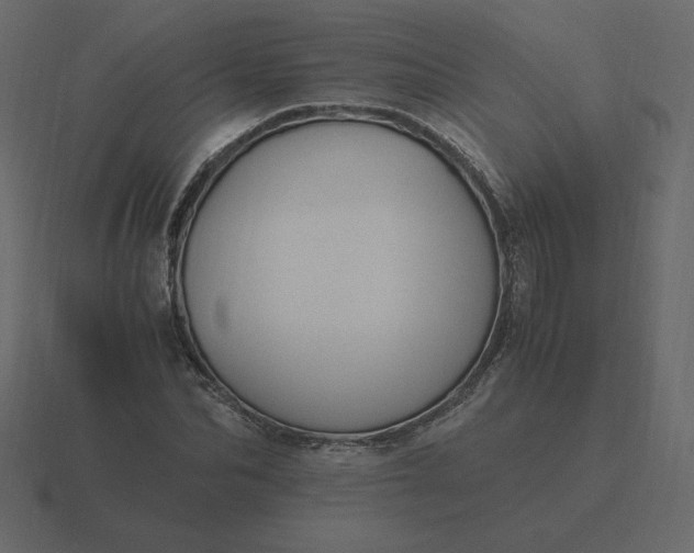 X0000116580974200912241651