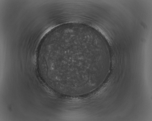 X0000116580975200912241651