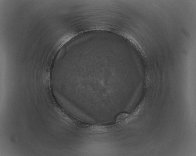 X0000116580977200912241651