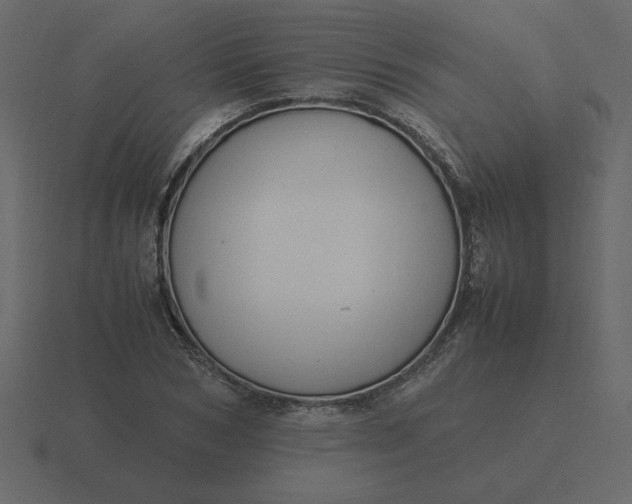 X0000116580978200912241651