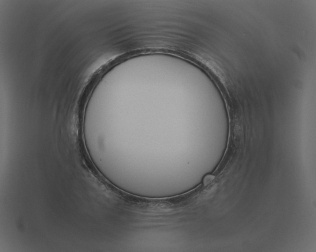 X0000116580979200912241651