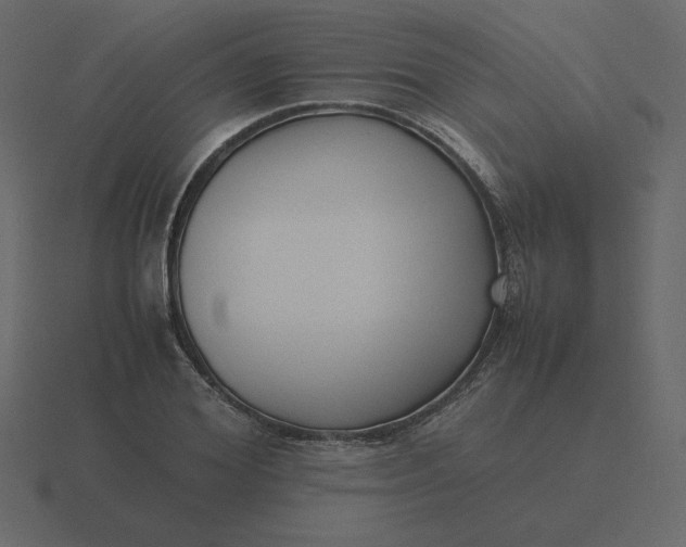 X0000116580980200912241651