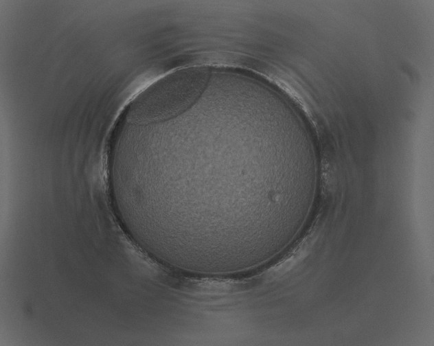 X0000116580981200912241651