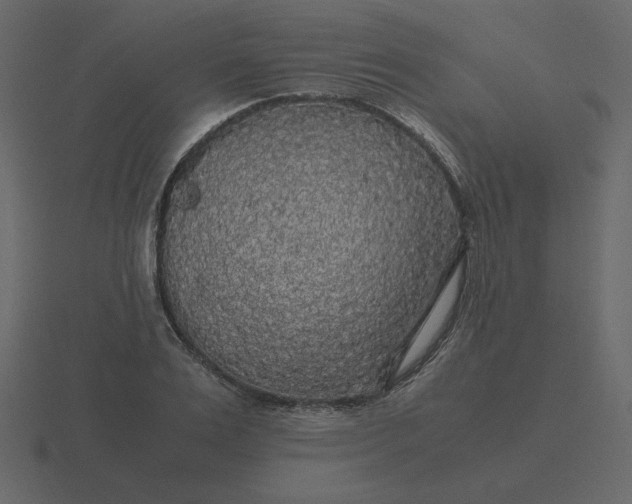 X0000116580983200912241651