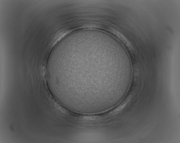 X0000116580985200912241651