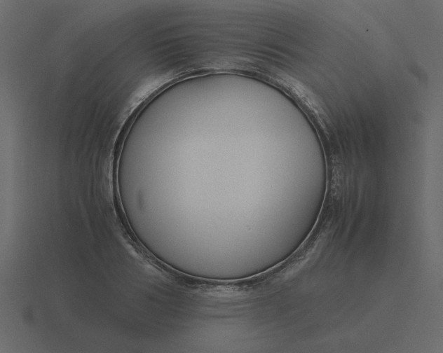 X0000116580986200912241651