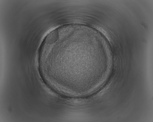 X0000116580987200912241651