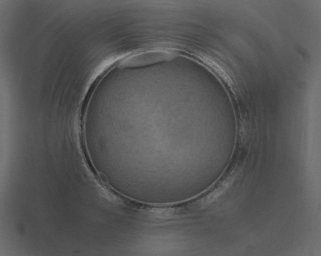 X0000116580989200912241651