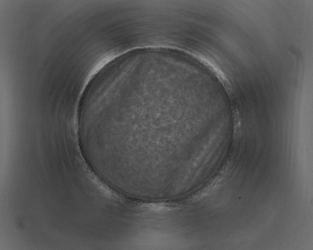 X0000116580990200912241651