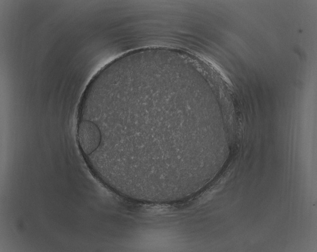 X0000116580991200912241651