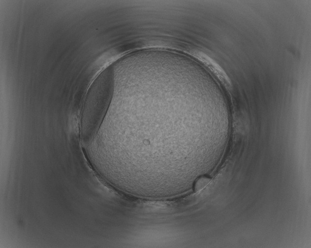 X0000116580993200912241650