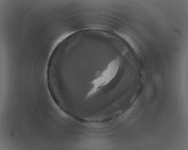 X0000116580995200912241650