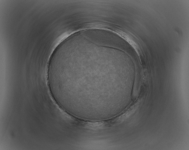 X0000116580997200912241650