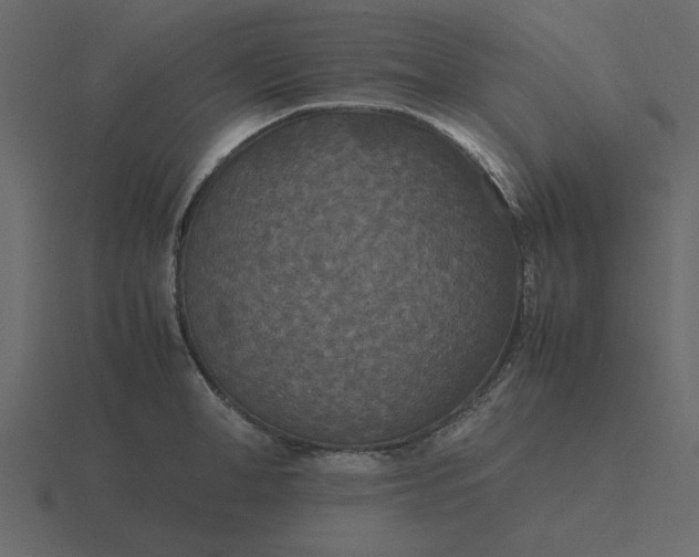 X0000116580998200912241650